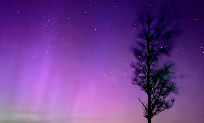 Here in Mid Wales we are sometimes delighted by the Aurora.  We are situated in a Dark Skies area and on a clear night you will not be disappointed by